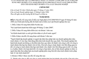 Nghị định 125/2004/NĐ-CP sửa đổi Nghị định 03/2000/NĐ-CP hướng dẫn Luật Doanh nghiệp