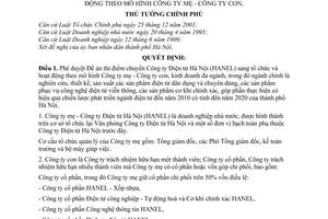 Quyết định 90/2004/QĐ-TTg thí điểm chuyển Công ty Điện tử Hà Nội sang tổ chức hoạt động mô hình Công ty mẹ con