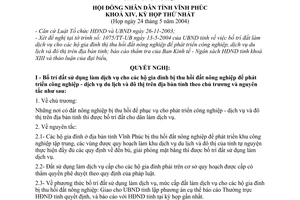Nghị quyết 12/2004/NQ-HĐ  bố trí đất sử dụng làm dịch vụ cho các hộ gia đình bị thu hồi đất nông nghiệp