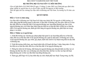 Quyết định 08/2004/QĐ-BTNMT chức năng, nhiệm vụ, quyền hạn cơ cấu tổ chức Cục Địa chất và Khoáng sản Việt Nam