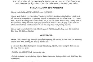 Quyết định 1206/2004/QĐ-UB điều chỉnh mức phụ cấp hàng tháng một số chức danh cán bộ Ninh Bình