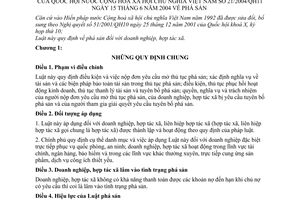 Luật Phá sản 2004 21/2004/QH11