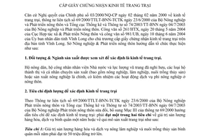 Hướng dẫn 159/SNN&PTNT cấp giấy chứng nhận kinh tế trang trại