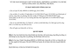 Quyết định 337/2004/QĐ-UB 2004 tuyển dụng hợp đồng lao động chế độ tập sự công chức xã Lào Cai