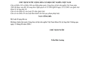 Lệnh công bố Bộ Luật tố tụng dân sự 13/2004/L-CTN