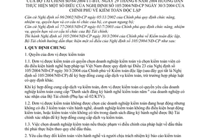 Thông tư 64/2004/TT-BTC Kiểm toán độc lập hướng dẫn thực hiện Nghị định 105/2004/NĐ-CP