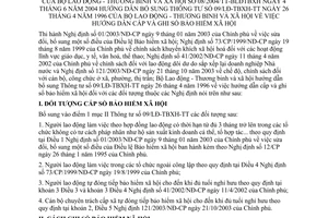 Thông tư 08/2004/TT-BLĐTBXH hướng dẫn cấp ghi sổ bảo hiểm xã hội bổ sung 09/LĐ-TBXH-TT