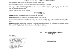 Quyết định 252/2004/QĐ-UB Quy chế Báo cáo viên pháp luật cấp thành phố Cần Thơ