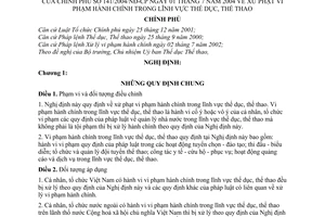 Nghị định 141/2004/NĐ-CP xử phạt vi phạm hành chính trong thể dục, thể thao