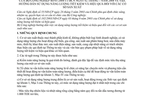 Thông tư 01/2004/TT-BCN hướng dẫn sử dụng năng lượng tiết kiệm hiệu quả cơ sở sản xuất