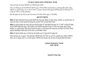 Quyết định 103/2004/QĐ-UB chức năng nhiệm vụ quyền hạn bộ máy quan hệ công tác Sở Nội vụ Bắc Ninh