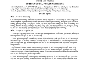 Quyết định 15/2004/QĐ-BTNMT chức năng, nhiệm vụ quyền hạn  cơ cấu tổ chức Cục Bảo vệ môi trường