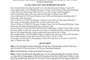 Quyết định 171/2004/QĐ-UB  Quy chế hoạt động Ban chỉ đạo thực hiện chỉ thị 21/TTg,12/TTg