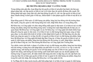 Chỉ thị 18/2004/CT-BKHCN tăng cường công tác thực thi QSHTT quản lý chất lượng SP hàng hoá lưu thông trong nước hàng hóa XNK