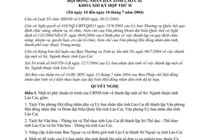 Nghị quyết 19/2004/NQ-HĐND thành lập sở ngành thuộc tỉnh Lào Cai
