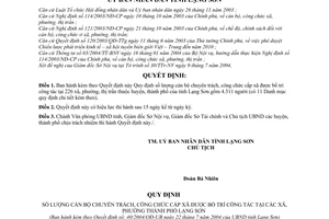 Quyết định 40/2004/QĐ-UB số lượng cán bộ chuyên trách, công chức cấp xã