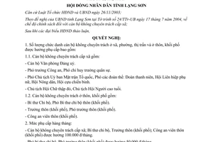 Nghị quyết 21/2004/NQ-HĐNDKXIV số lượng và mức phụ cấp cán bộ không chuyên