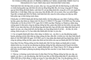 Chỉ thị 19/2004/CT-UB quản lý phòng chống lụt bão, giảm nhẹ thiên tai tìm kiếm cứu nạn địa bàn Hồ Chí Minh năm 2004