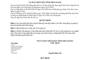 Quyết định 41/2004/QĐ-UB tổ chức hoạt động quản lý hội