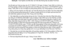 Công văn 996/CV-NN-TT nhập khẩu giống hướng dương
