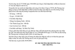 Công văn 4515 TM/XNK  tạm nhập tái xuất tỏi củ