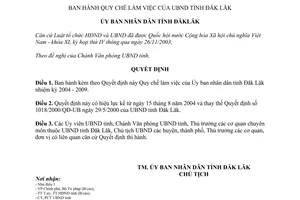Quyết định 54/2004/QĐ-UB Quy chế làm việc của Ủy ban tỉnh Đăk Lăk