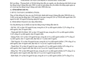 Thông báo 2604/LĐTBXH-TTr thông báo tình hình tai nạn lao động 6 tháng đầu năm 2004