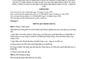 Nghị định 153/2004/NĐ-CP tổ chức, quản lý tổng công ty nhà nước chuyển đổi tổng công ty nhà nước độc lập theo mô hình Công ty mẹ con