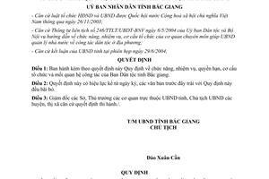 Quyết định 102/2004/QĐ-UB Quy định chức năng nhiệm vụ quyền hạn ban dân tộc