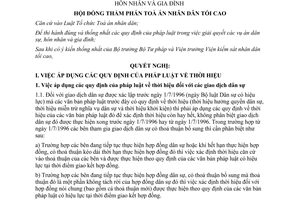 Nghị quyết 02/2004/NQ-HĐTP hướng dẫn áp dụng pháp luật trong việc giải quyết các vụ án dân sự, hôn nhân và gia đình