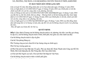 Quyết định 45/2004/QĐ-UB số lượng chế độ phụ cấp cán bộ không chuyên