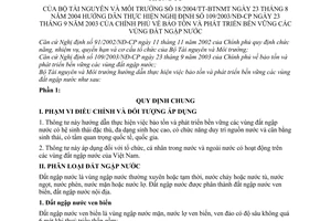 Thông tư 18/2004/TT-BTNMT bảo tồn phát triển bền vững vùng đất ngập nước hướng dẫn Nghị định 109/2003/NĐ-CP