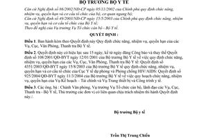 Quyết định 2964/2004/QĐ-BYT chức năng, nhiệm vụ, quyền hạn Vụ, Cục,Văn phòng,Thanh tra Bộ Y tế