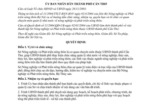 Quyết định 284/2004/QĐ-UB chức năng nhiệm vụ quyền hạn cơ cấu tổ chức