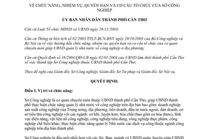Quyết định 289/2004/QĐ-UB chức năng nhiệm vụ quyền hạn cơ cấu Sở Công nghiệp