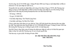 Công văn  4804 TM/XNK ngày 06/09/2004   tạm nhập tái xuất tỏi củ