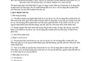 Thông tư 89/2004/TT-BTC hướng dẫn xử lý rủi ro vốn tín dụng đầu tư phát triển Nhà nước