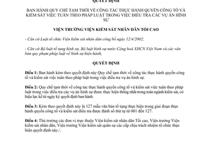 Quyết định 120/2004/QĐ-VKSTC quy chế tạm thời công tác thực hành quyền công tố