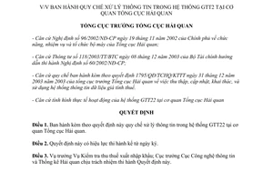 Quyết định 985/TCHQ/QĐ-KTTT quy chế xử lý thông tin trong hệ thống GTT22