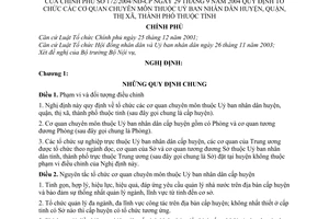 Nghị định 172/2004/NĐ-CP tổ chức cơ quan chuyên môn thuộc Uỷ ban nhân dân huyện, quận, thị xã, thành phố thuộc tỉnh