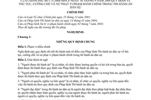Nghị định 173/2004/NĐ-CP thủ tục, cưỡng chế xử phạt vi phạm hành chính trong thi hành án dân sự