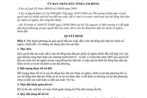 Quyết định 178/2004/QĐ-UB giải quyết đất sản xuất đồng bào dân tộc thiểu số nghèo Lâm Đồng