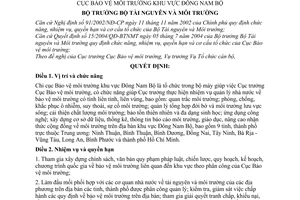 Quyết định 21/2004/QĐ-BTNMT chức năng, nhiệm vụ, quyền hạn và cơ cấu tổ chức Chi cục Bảo vệ môi trường khu vực Đông Nam Bộ