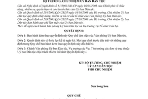 Quyết định 298/2004/QĐ-UBDT quy chế làm việc văn phòng Uỷ ban Dân tộc