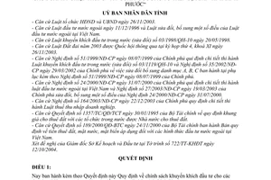 Quyết định 101/2004/QĐ-UB chính sách khuyến khích đầu tư cho các doanh nghiệp trong ngoài nước