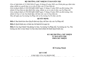 Quyết định 315/2004/QĐ-UBDT quy chế làm việc Vụ Pháp chế