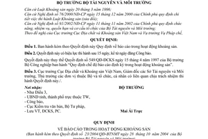 Quyết định 23/2004/QĐ-BTNMT  báo cáo trong hoạt động khoáng sản