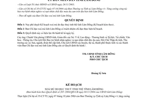 Quyết định 205/2004/QĐ-UB xoá mù do đục thuỷ tinh thể Lâm Đồng