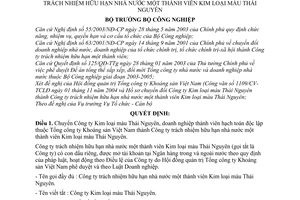 Quyết định 130/2004/QĐ-BCN chuyển Công ty Kim loại màu Thái Nguyên thành Công ty TNHH nhà nước 1 thành viên