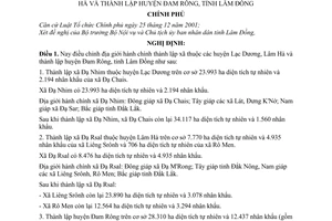 Nghị định 189/2004/NĐ-CP thành lập xã thuộc huyện Lạc Dương, Lâm Hà huyện Đam Rông, tỉnh Lâm Đồng